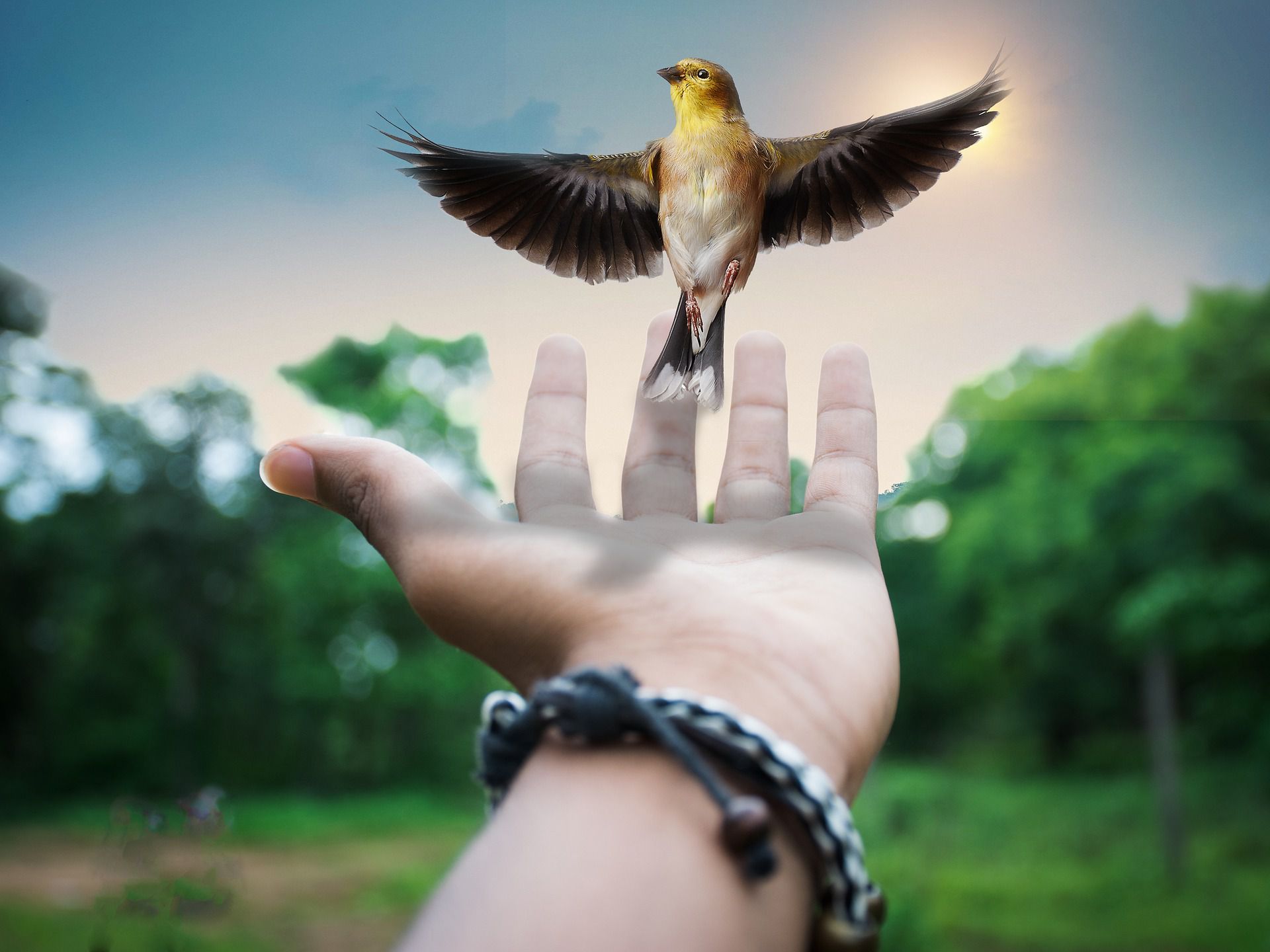 Odoo image and text block